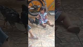 Download lagu Arsy Kasih Makan Ayam| ayam makan mp3