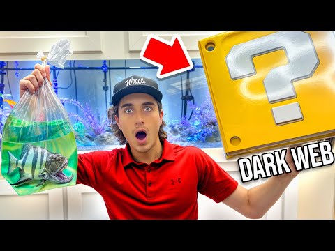 I Found A Mystery Fish Box Off The Web