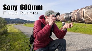 Video thumbnail for First Impression of the Sony 600mm f/4 GM - Field Report by Matthew Raifman