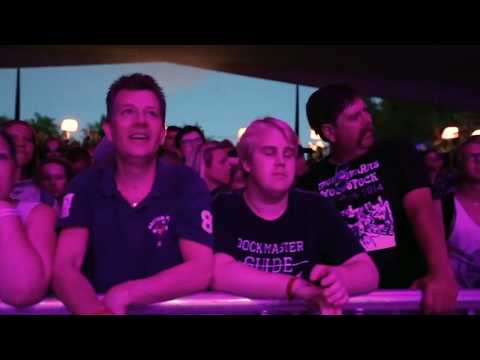 Dårar video