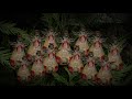 Angels We Have Heard On High   -- arranged by David Lanz