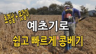 예초기로 쉽고 빠르게 콩베기 콩 베는 방법 with 초경날 & 옷걸이