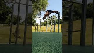 Download lagu Elevated Pike Push Ups on a Dip Bar mp3