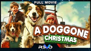 A DOGGONE CHRISTMAS | HOLIDAY ANIMAL ADVENTURE MOVIE | FULL FREE FAMILY FILM | REVO MOVIES