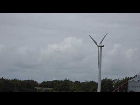 0706 Blæsevejr ved Ringkøbing fjord