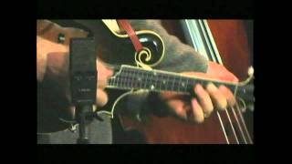 David Grier - Wheel Hoss