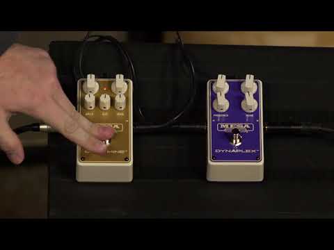 Mesa | Pedals Goldmine and Dynaplex