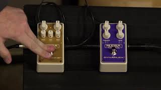 Video thumbnail for Mesa | Pedals Goldmine and Dynaplex by MooreMusicGuitars
