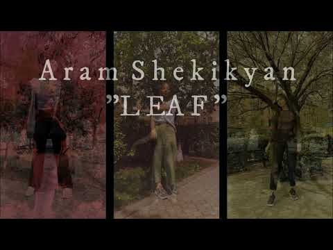 Aram Shekikyan (Original Music Video 2022) "Leaf" (With Violin M Sona) #Originalmusic #relaxingmusic