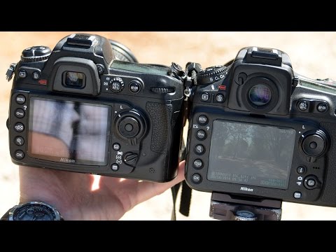 Expert Shield Full Review, Unboxing, and Application