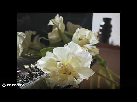 Kanklės Gabija #4