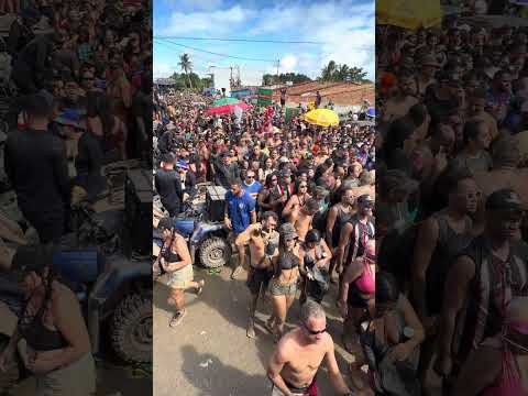 Festa do Mastro em Capela Sergipe 2026 o maior São Pedro do Brasil