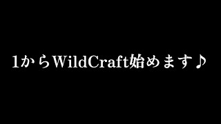幸せとは何なのか？について