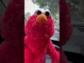 Elmo Sings Cell Block Tango Nbconechicago Elmo Broadway Music Altheatre Sesamestreet