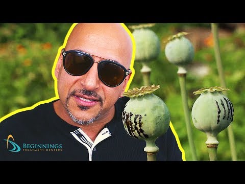 What is Opium Like? Opium Effects and Detox Info! | Beginnings Treatment
