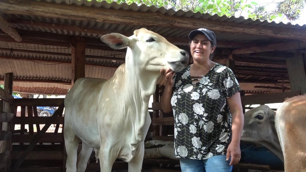 A ROÇA PRODUTIVA DA JANE E DO JOÃO