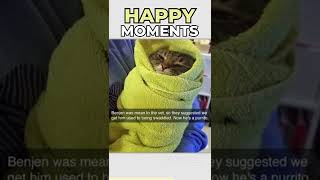 Happy Moments