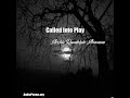 Called Into Play (Archie Randolph Ammons Poem)