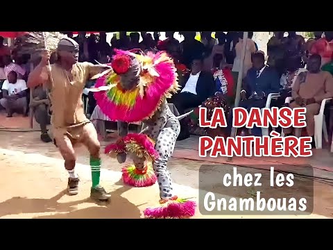 La sortie des initiés de la danse panthère chez les Gnambouas