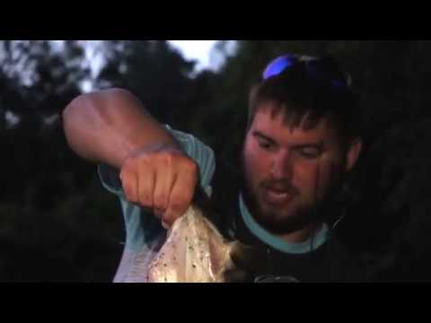 Monster Bass Fishing with Billy!