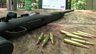 Savage Axis XP  308