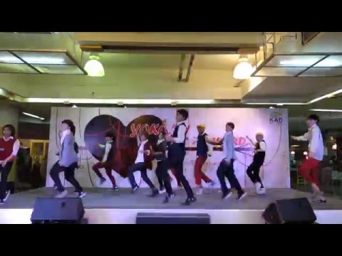 160228 YokoAn Love Forward 2016 - 21Carrots cover SEVENTEEN