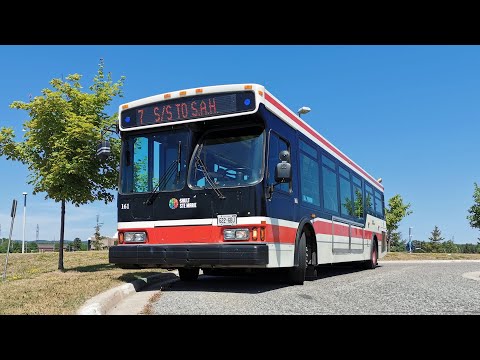 Sault Ste Marie Buses August 2019 EX OC TRANSPO EX TTC