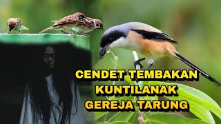 Download lagu Dengan Hitungan Detik Cendet Bunyi materi Kuntilanak Gereja Tarung dan bessetan Gereja @sultanakbar mp3