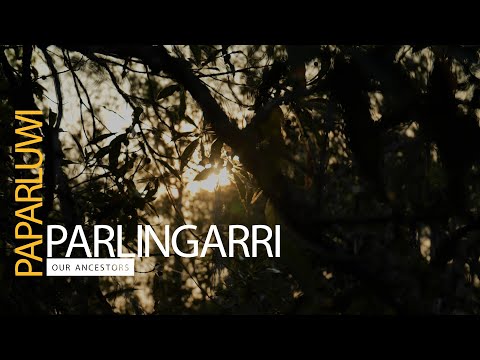 Paparluwi Parlingarri - Our Ancestors