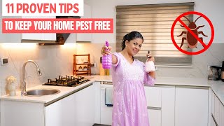 11 Proven Tips to Keep Your Home Pest Free | Indian Household Guide