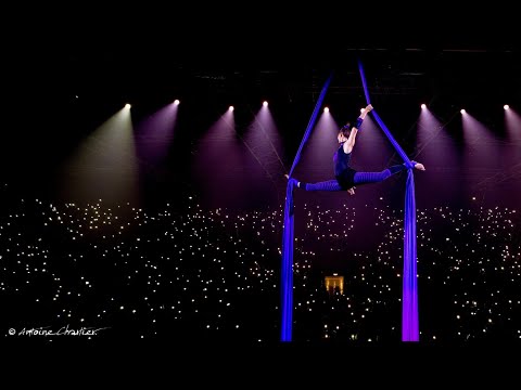 Tissus aérien en concert avec Aldebert et Tété