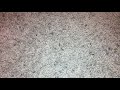 VHS Update For October 3 2021 Part 1