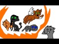 Why I Hate The Grey Cats Of The Warriors Books