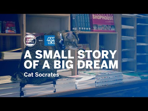 Shop Small Singapore | Cat Socrates | American Express