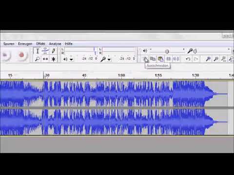 Audacity Wichtige Werkzeuge