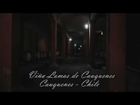 Primera Serie Libre A / Final de Rodeo Para Criadores 2026 de Cauquenes