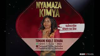 Nyamaza Kimya  Tumaini Njole Seheba Official Audio