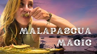 EP 12 - Motorcycle Journey to Malapascua: The Most Stunning Island Adventure 🏝️✨