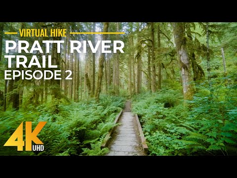 7 HRS Sunny Summer Day Forest Walk - 4K Hike along the Pratt River Trail (Summer, 2022) - Part 2