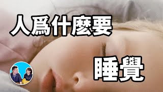 你每天都做這件事，但你真的知道自己在做什麽嗎 | 老高與小茉