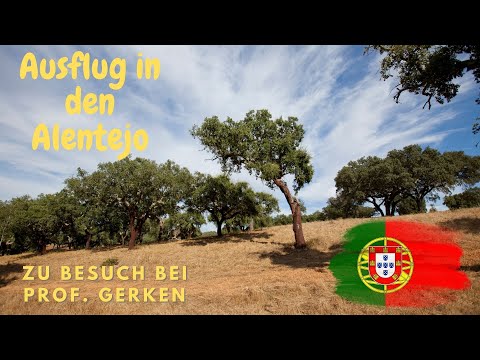 Ausflug in den Alentejo | zu Besuch bei Prof. Bernd Gerken | Pilze sammeln Portugal