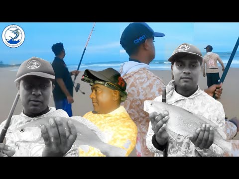 Kob fishing at Umkomaas//Quick evening session 