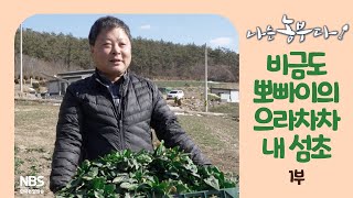 [나는농부다 236회 1부] 비금도 뽀빠이의 으라차차 내 섬초