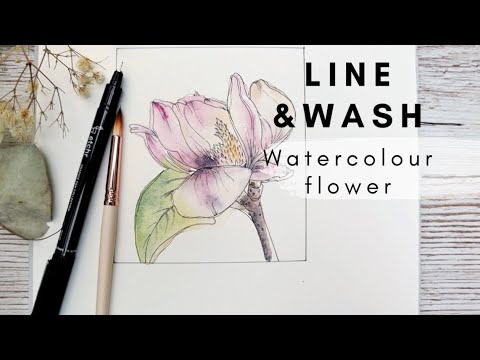 Beginner Friendly Ink and Wash