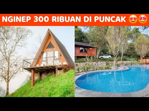 DINGIN BANGET‼️ KAYAK TIDUR DI KULKAS😆 REVIEW SEMUA KAMAR BROMELIA RESORT PUNCAK #staycation #puncak