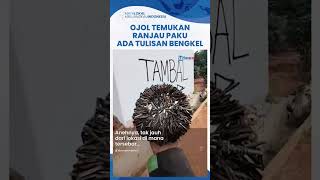 Viral Relawan Ojol Temukan Banyak Ranjau Paku di Jaktim, Ada Tulisan Arah Bengkel di Dekat Lokasi