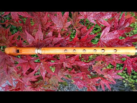 The Maid of Mount Kisco & The Musical Priest on a boxwood D whistle by Jon Swayne