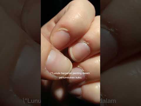 Luluna " Sinyal Tubuh Kita"
