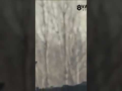 Melô de Sabrina Remix 2016