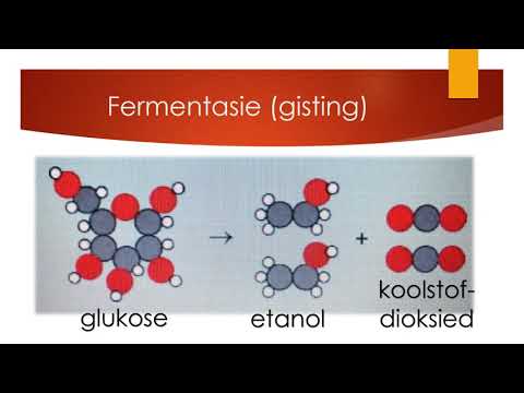 FISIESE WETENSKAP GRAAD 8: 18 Mei 2020 - periode 6 (18086)